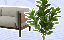 furnobly thumbnail depicting a chair and a plant