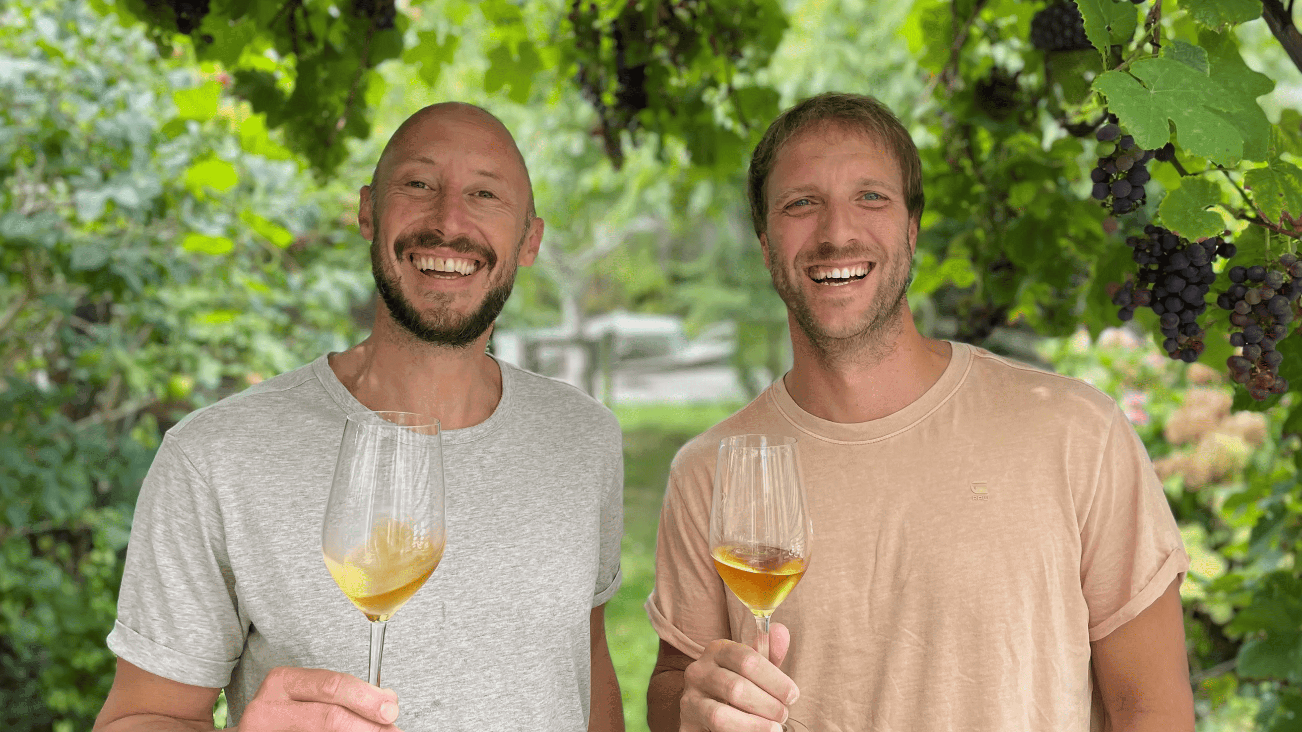 Wine Unplugged Dan & Martin, Founders