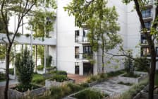 مدير الاستديو، Chapman Taylor